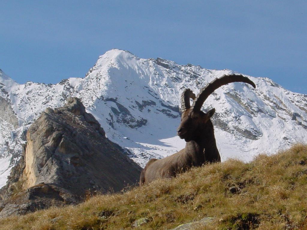 Hotel De La Vanoise Пралоньян-ла-Вануаз Екстер'єр фото